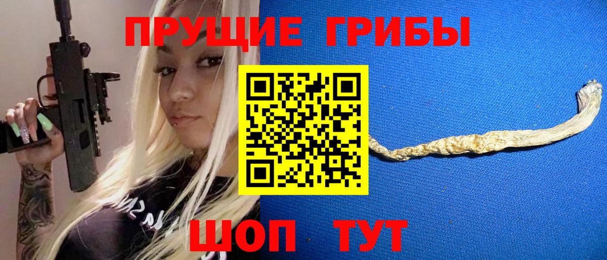Псилоцибиновые грибы ЛСД Шелехов