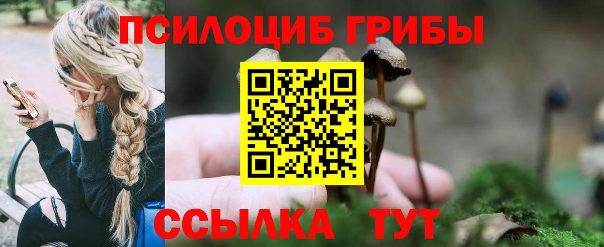 Псилоцибиновые грибы Psilocybine cubensis  Вход с VPN  Шелехов  Галлюциногенные грибы ЛСД 